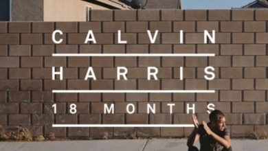 Photo of Calvin Harris pubblica “Drinking from the bottle” feat. Tinie Tempah