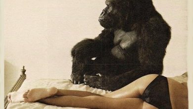Photo of “Gorilla”di Bruno Mars